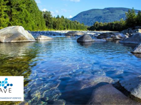 Watts Completes 2024 WAVE Reverification