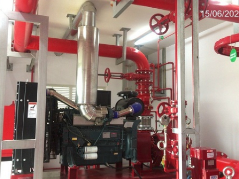  MAPLE TREE A2 FACTORY