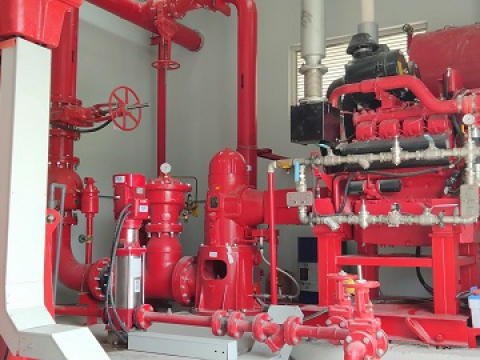 EMERGENT SPAIN USA IN BINH DUONG