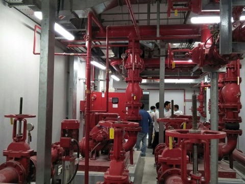 FESTIVAL PROJECT - VUNG TAU