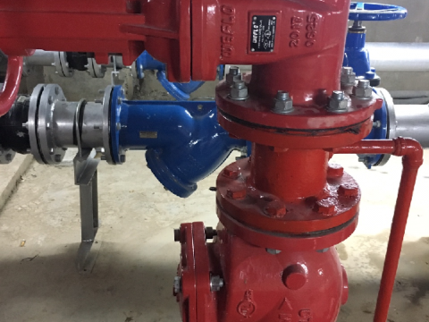 AMERICAN INTERNATIONAL HOSPITAL (AIH) PROJECT