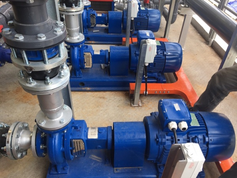 TOP GLOVE FACTORY IN BINH DUONG