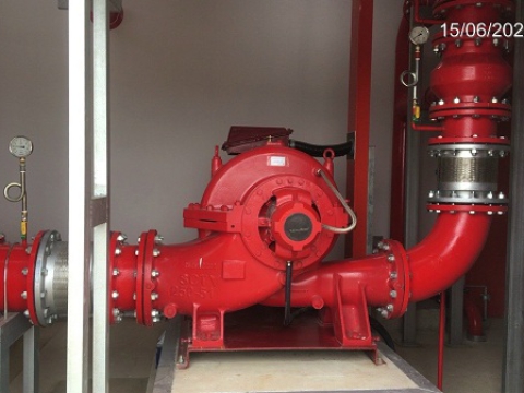  MAPLE TREE A2 FACTORY