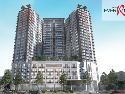 THE EVERRICH INFINITY PROJECT