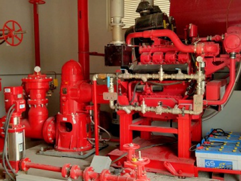 EMERGENT SPAIN USA IN BINH DUONG