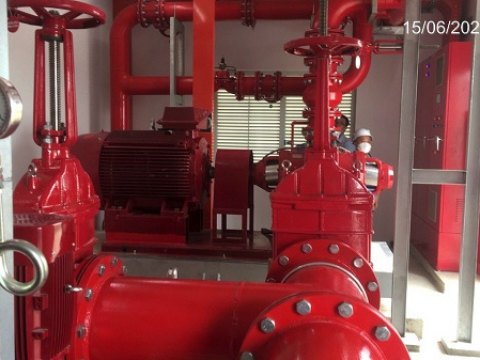  MAPLE TREE A2 FACTORY