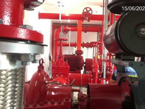  MAPLE TREE A2 FACTORY