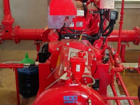  CP GROUP FACTORY IN BINH DINH