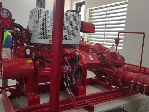 C.P FOODS FACTORY IN DONG NAI