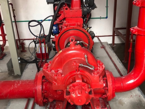 PEPPERL AND FUCHS BUILDING