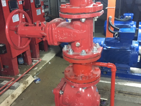 AMERICAN INTERNATIONAL HOSPITAL (AIH) PROJECT