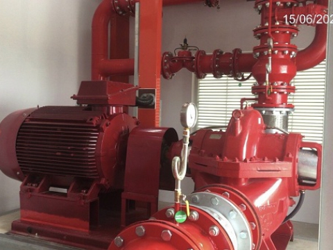  MAPLE TREE A2 FACTORY