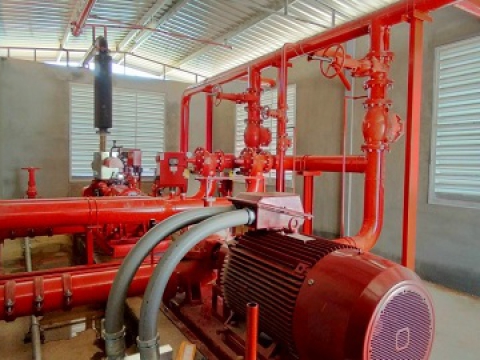  CP GROUP FACTORY IN BINH DINH