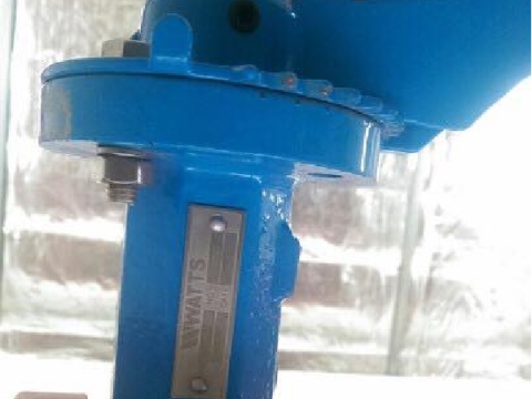 SOUTH BRIDGE INTERNATIONAL SCHOOL - CAMBODIA