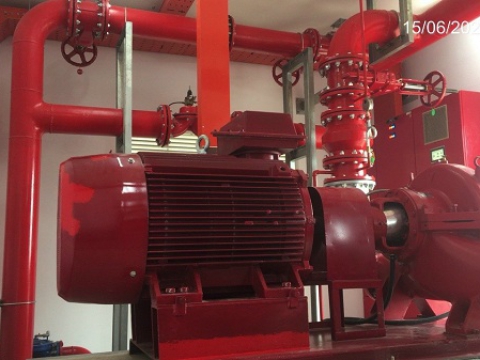  MAPLE TREE A2 FACTORY