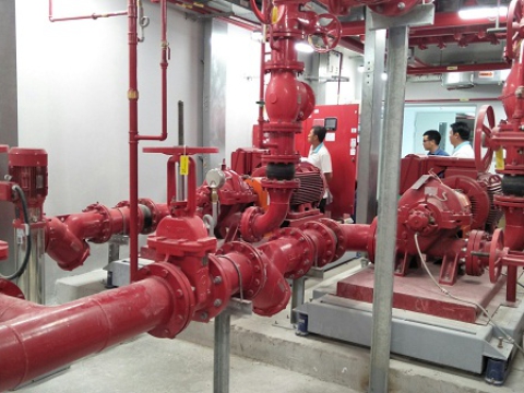 FESTIVAL PROJECT - VUNG TAU