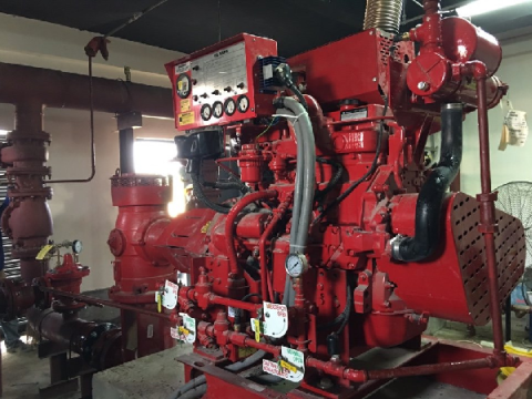 DULWICH PROJECT - MYANMAR