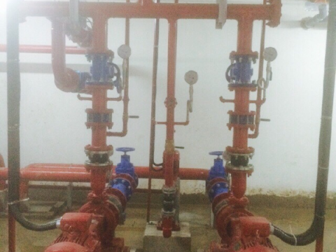 THE BOTANICA PROJECT - HO CHI MINH CITY