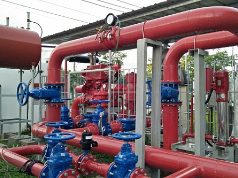 RENTAL SERVICED FACTORY 54 - AMATA ZONE - BIEN HOA - DONG NAI