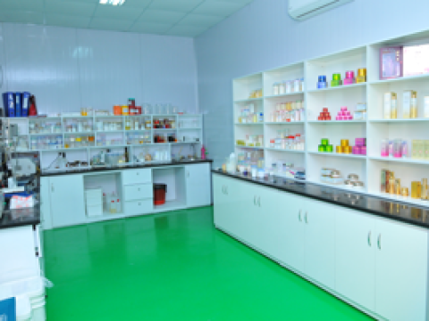  SAINT GOBAIN FACTORY PROJECT