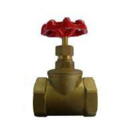 Brass Globe Valve (W-WB251)