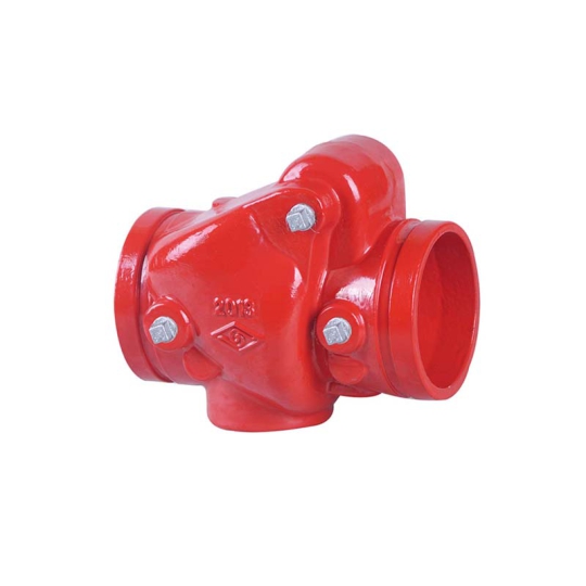 BS Swing Check Valve Rubber seal Grooved end (H84X)
