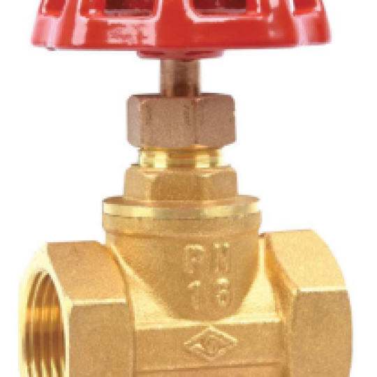BS Brass Globe Valve (J11W-301A)
