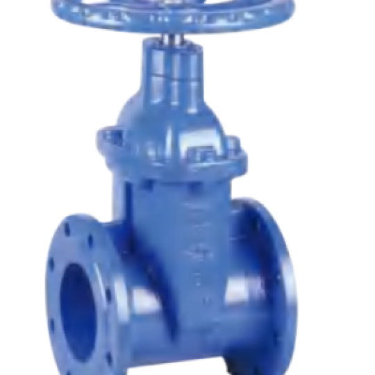 BS 5163 Flanged Resilient NRS Gate Valve (Z45X)