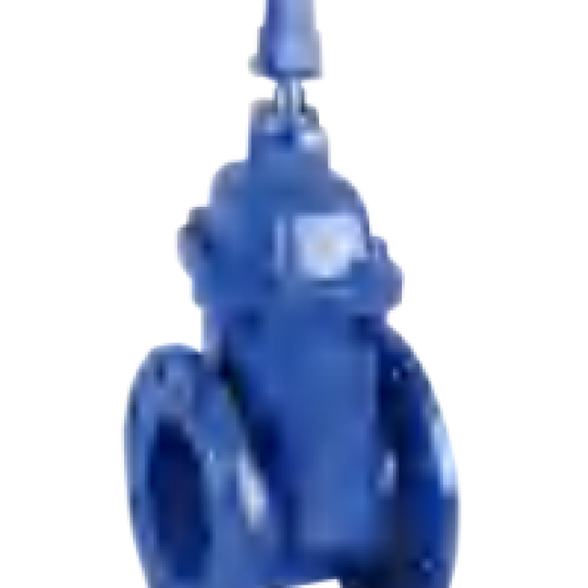 Flanged Resilient NRS Gate Valve BS (Z45XC)