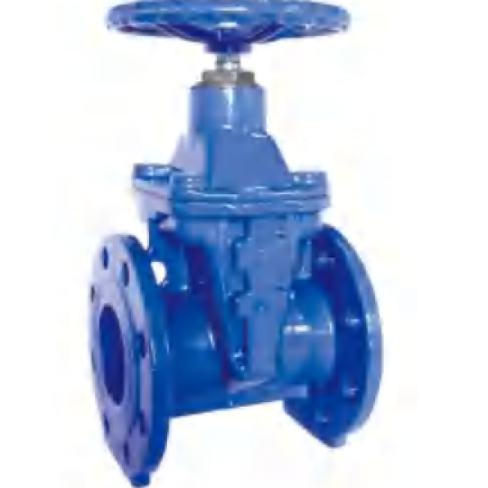 BS 5163 Flanged Resilient NRS Gate Valve (Z45X62)