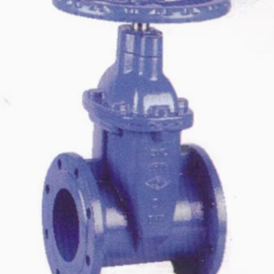 BS Flanged Resilient NRS Gate Valve, Type B (Z45XB)