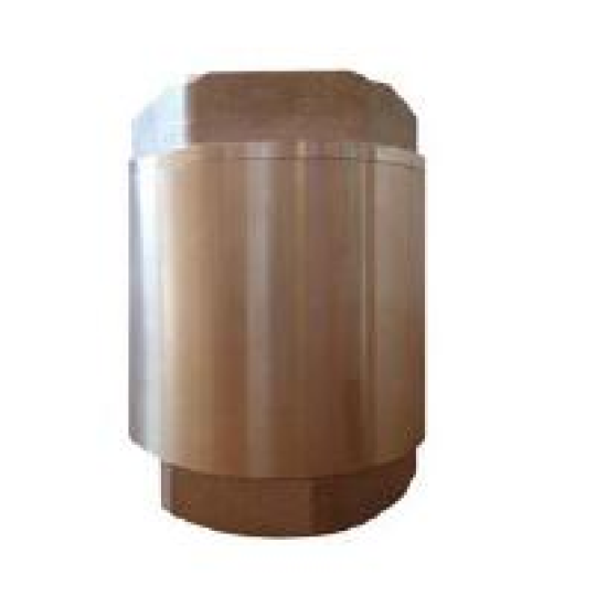 Brass check valve (W-WB451B)
