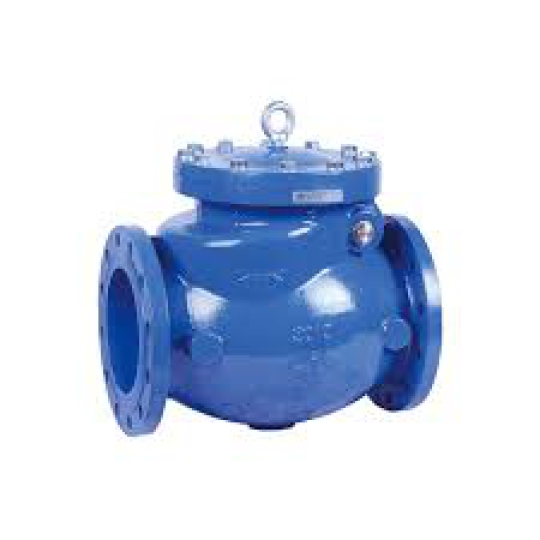 BS Swing Check Valve Rubber seal (H44X2)