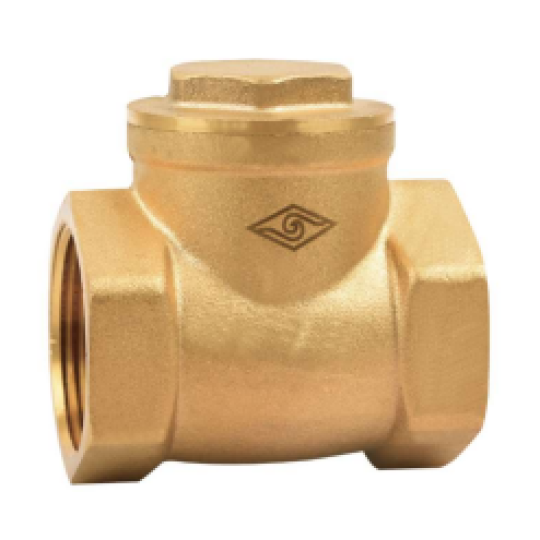 BS Brass Check valve (H14W-401A)
