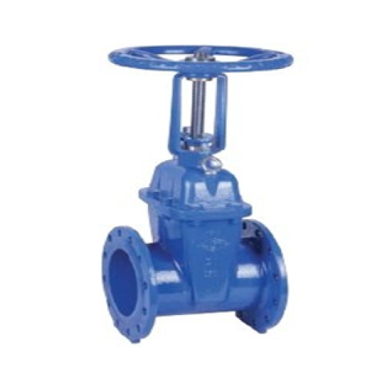 BS Flanged Resilient OS&Y Gate Valve, Type B (XZ41XB)
