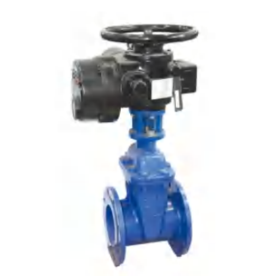 BS 5163 Electric Gate Valve (Z945X)